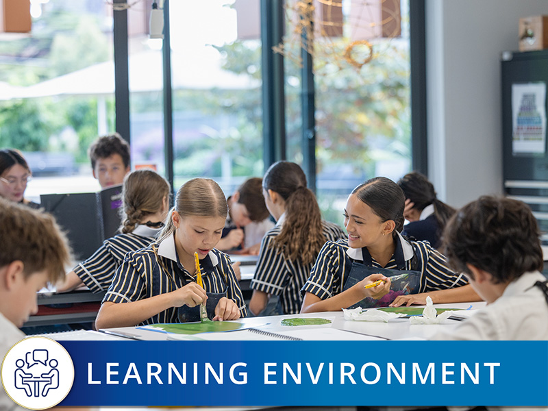 Learning Enviornment