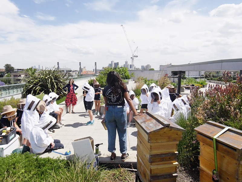 Year 7 Bees